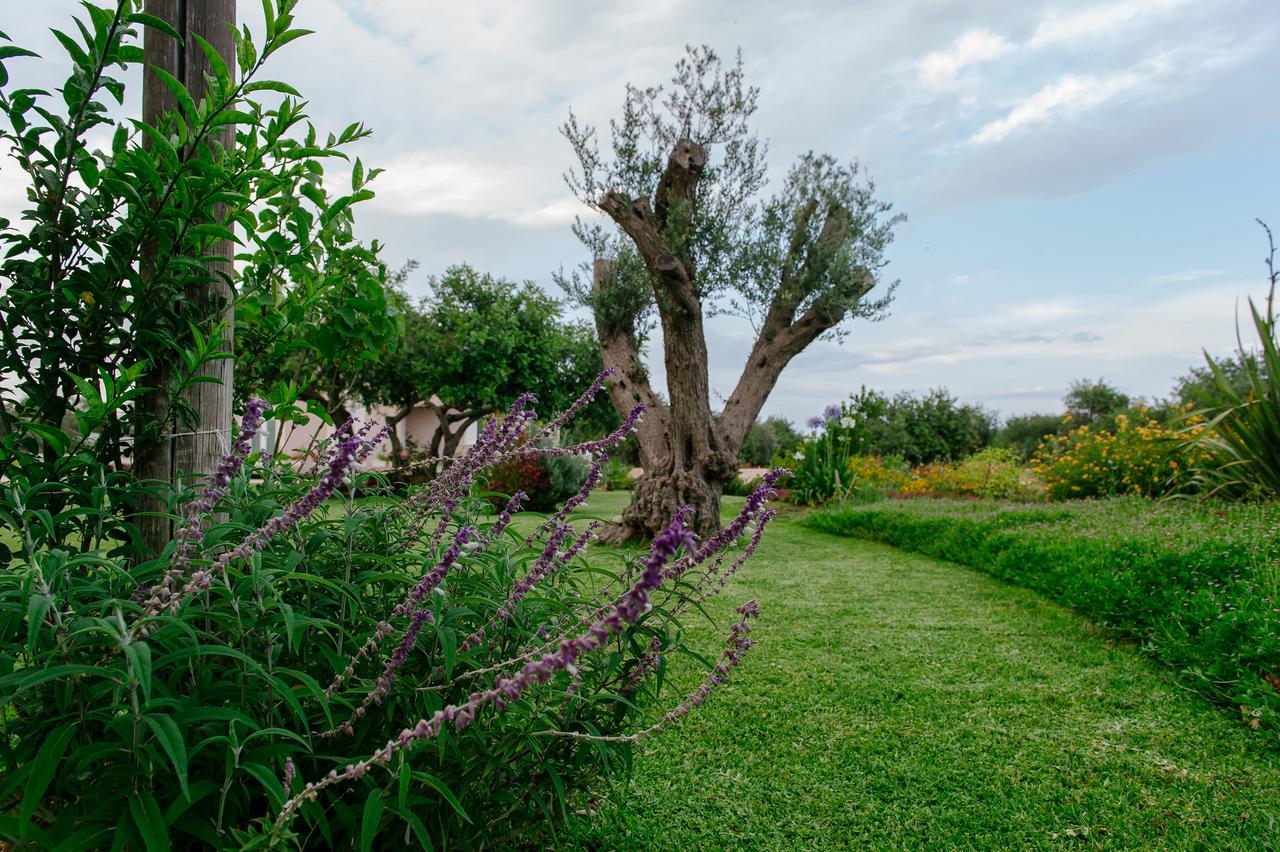 Bed and Breakfast Barokhouse Шикли Экстерьер фото
